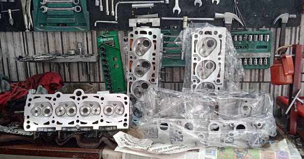 Foto 2 Tatu Cabeçotes