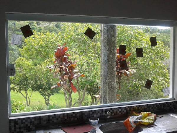 Foto 3 Vidraçaria Central Parque