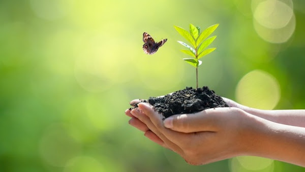 Ferro Velho Barcelona | Comércio de Metais e Sucatas