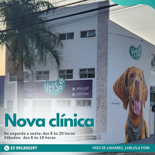 Vetso Veterinária Popular