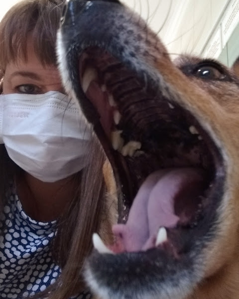 Foto 2 Clínica Veterinária Ishizuka