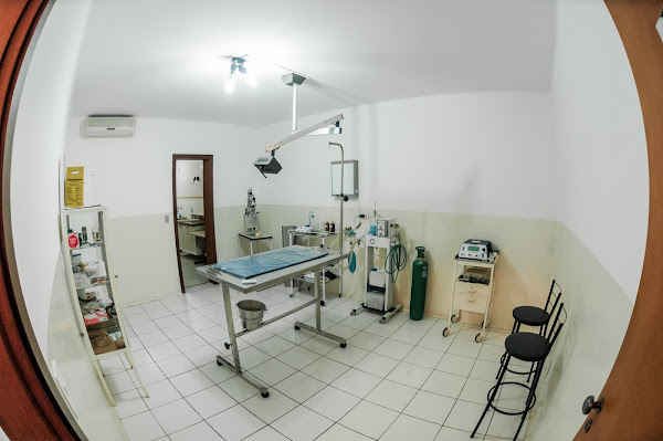 Foto 2 CEV - Centro De Especialidades Veterinárias