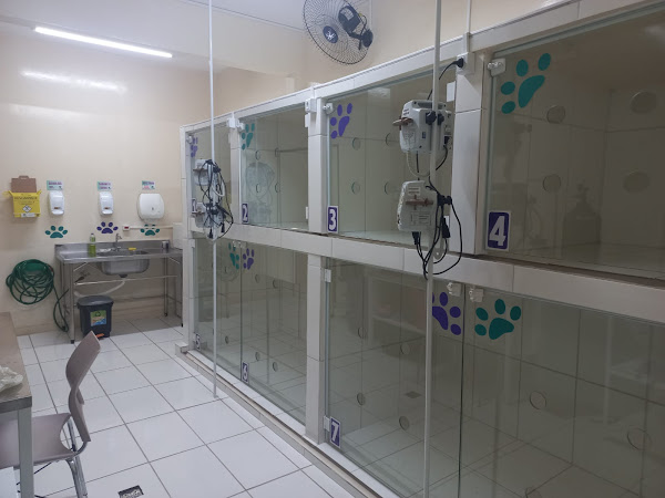 Instituto Laika Clinica Veterinária