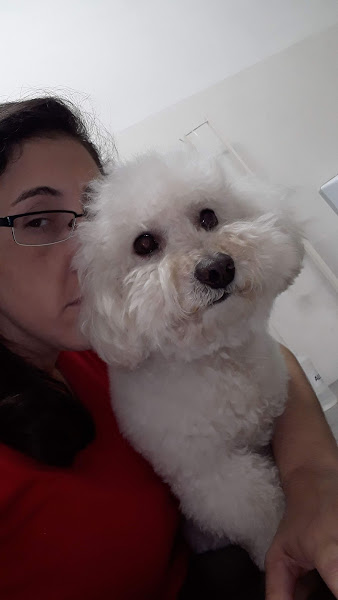 Foto 2 Clínica Veterinária Júlio de Mesquita