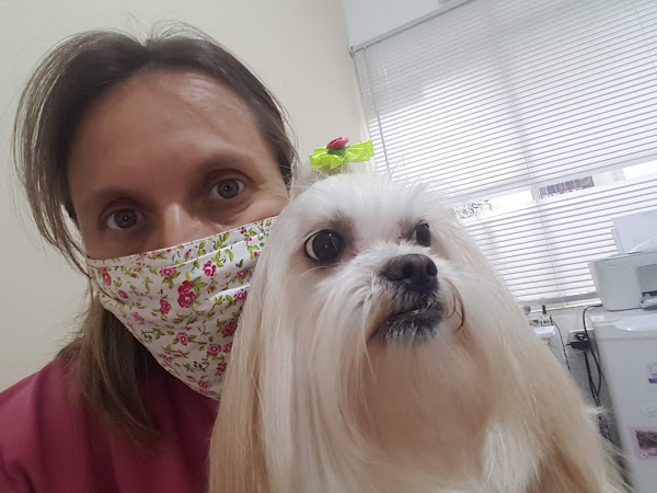 Foto 4 Vet Spa Clínica Veterinária