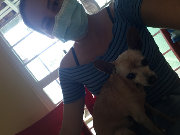 Foto 1 Clínica Veterinária Central