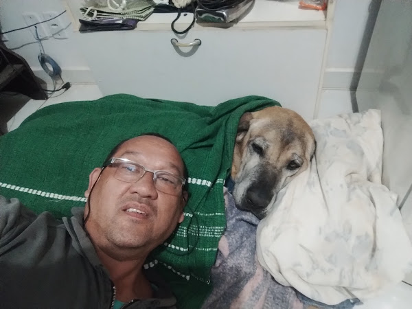 Foto 4 Dr Pet Clínica Veterinária