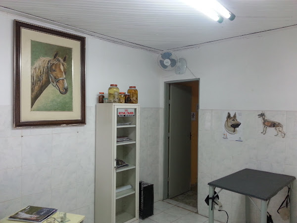 Dr. Airton Vivan - Veterinário Dr. Airton Vivan - Veterinário