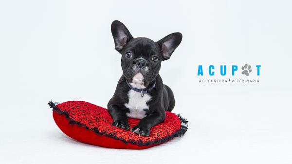 ACUMED- Vet - Centro de Reabilitação Veterinário