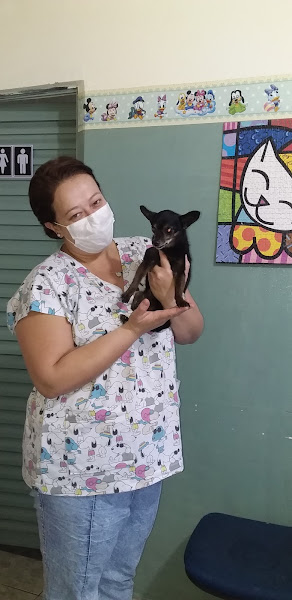 Bonsucesso Consultório Veterinário