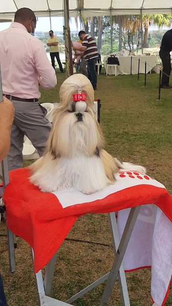 Foto 1 Veterinário Agromilvet