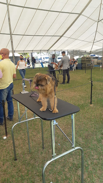 Foto 2 Veterinário Agromilvet