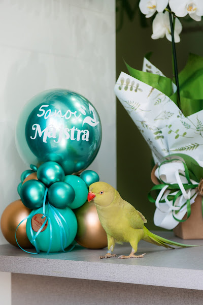 Foto 3 Majstra Formulações Veterinárias