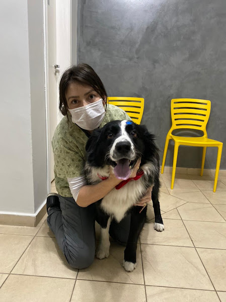 Foto 1 BastVet Centro Veterinário