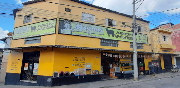 Agropecuária Aparecidinha