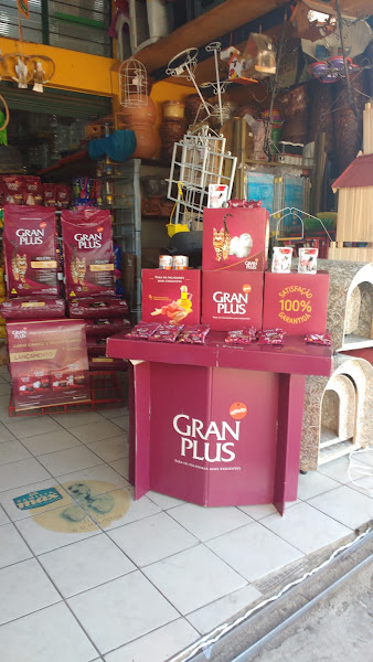 Foto 4 Avicultura e Floricultura Tuim