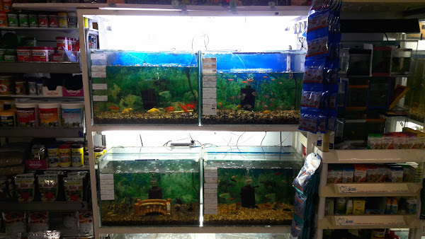 Foto 6 Avicultura e Floricultura Tuim