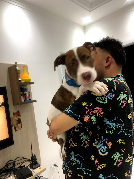 Casa De Rações Japa Pet