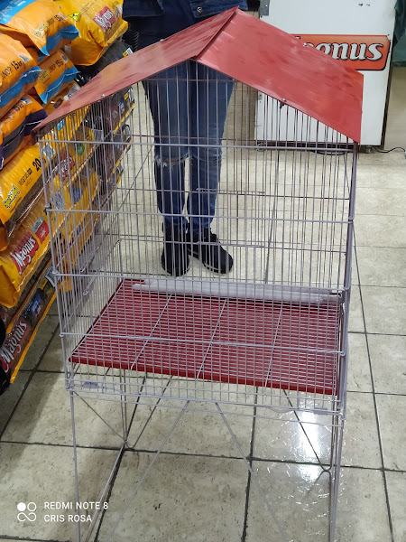 Foto 2 Avicultura Santa Barbara