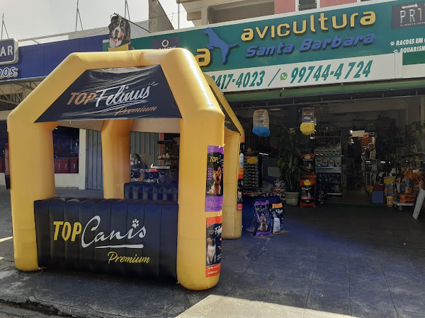 Foto 3 Avicultura Santa Barbara Foto 3 Avicultura Santa Barbara