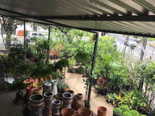 Foto 1 Agro Ouro Verde