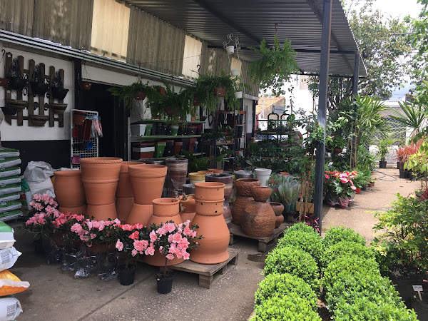 Foto 3 Agro Ouro Verde