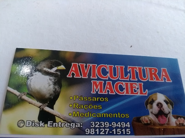 Foto 3 AVICULTURA MACIEL
