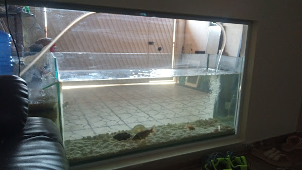 Avelar vidros Envidraçada sacada vidraçaria