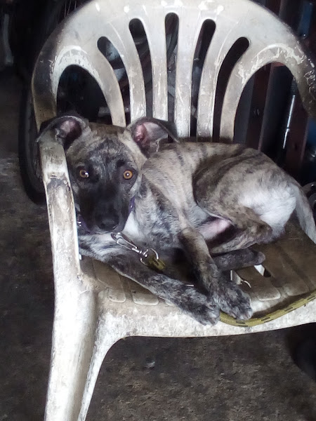 Foto 1 Oficina O César