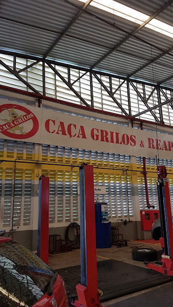 Foto 2 Caça Grilos e Reapertus Foto 2 Caça Grilos e Reapertus