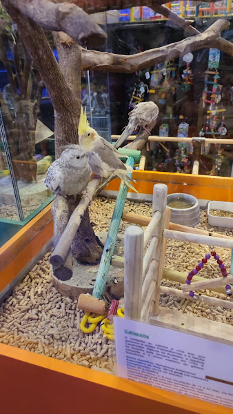 Foto 2 Animale PetShop