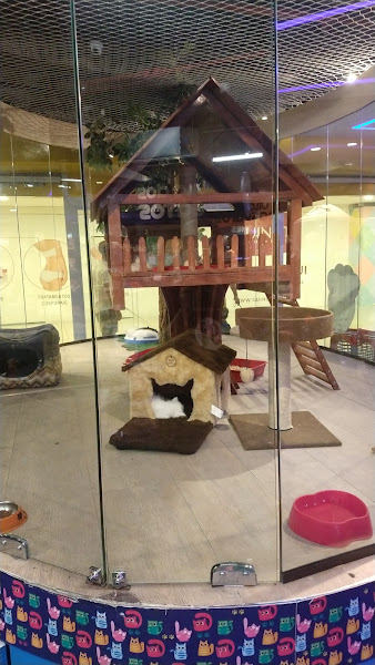 Foto 3 Animale PetShop