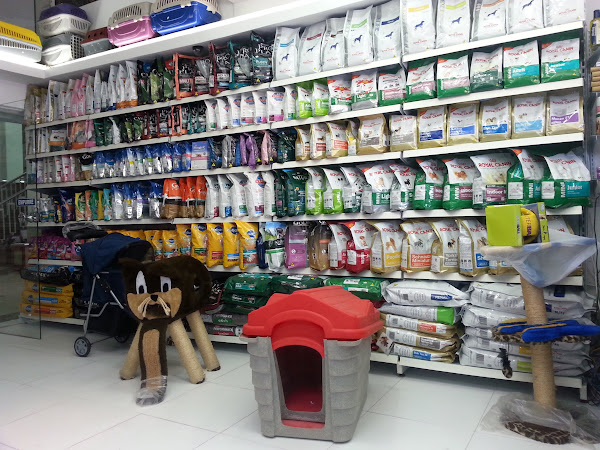 Baby Dog Pet Shop