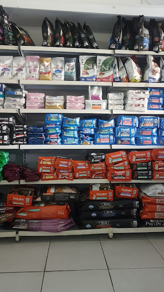 Foto 2 Baby Dog Pet Shop