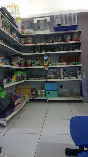 Foto 3 Baby Dog Pet Shop