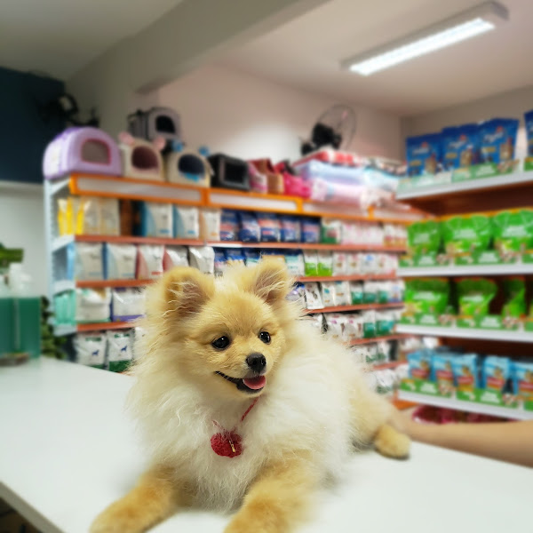 Foto 3 Viana's Pet Shop e Assistência Veterinária