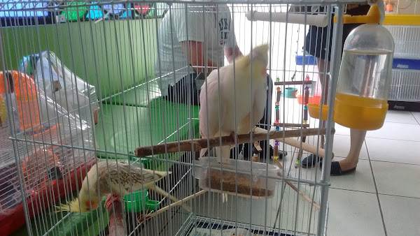 Foto 1 Ecológica Pet Shop