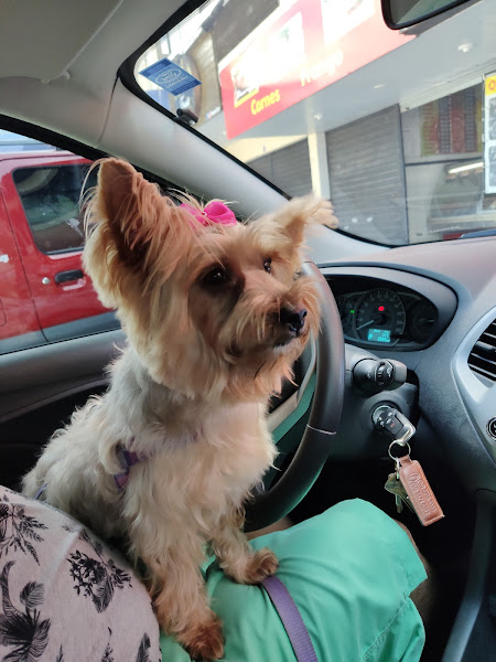 Foto 2 Hannas Pet Shop