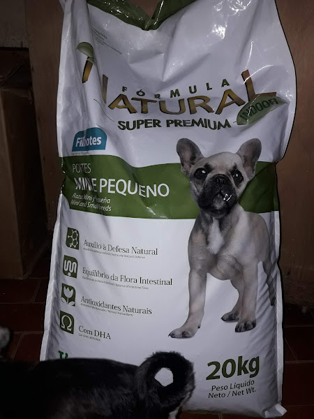 Foto 2 Império Pet  Clínica Veterinária e Pet Shop