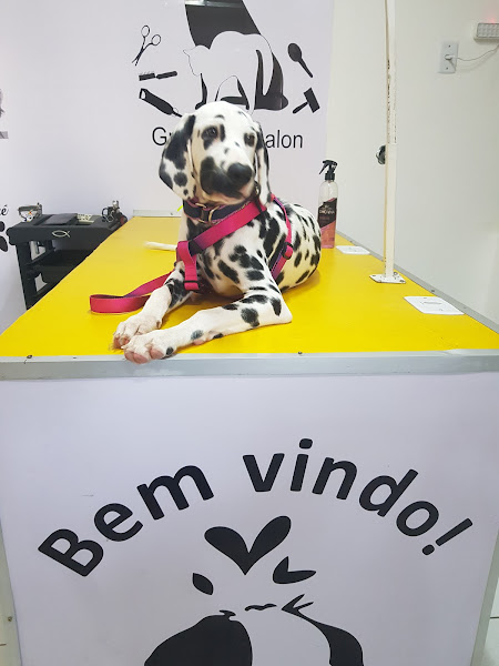 Foto 2 Loop Pet Shop