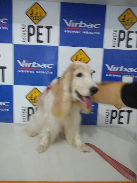 Foto 2 Estação Pet - Pet Shop e Veterinária