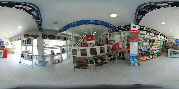 Foto 1 Cãobeleireiro Pet Shop