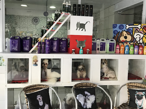 Foto 5 Cãobeleireiro Pet Shop