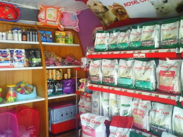 Foto 6 Cãobeleireiro Pet Shop