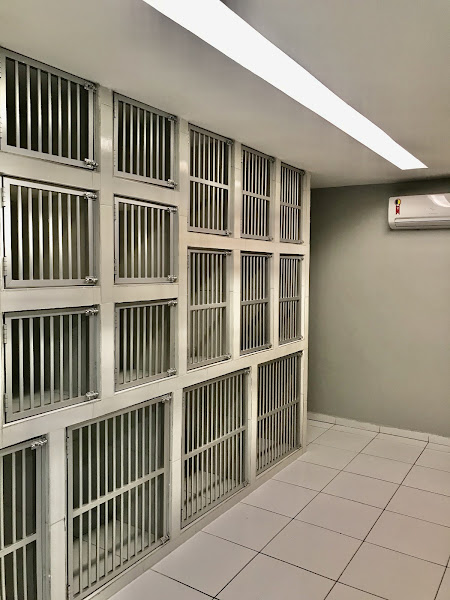 Foto 4 Traquinas Pet Shop