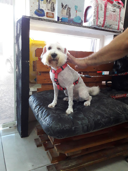 Foto 1 PetLândia Montese | Petshop e Hotel