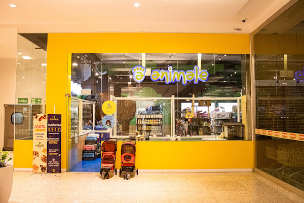 Foto 3 Animale PetShop (RioMar Kennedy): Filhote, Ração, Coleira, Cachorro, Gato, Roedores, Fortaleza CE