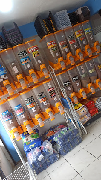 Foto 2 Alternativa Pet