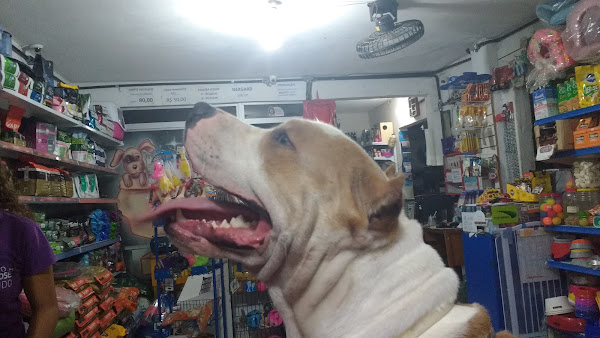 Foto 5 Alternativa Pet