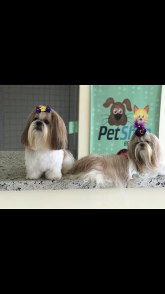 Foto 2 Pet Shop Benfica